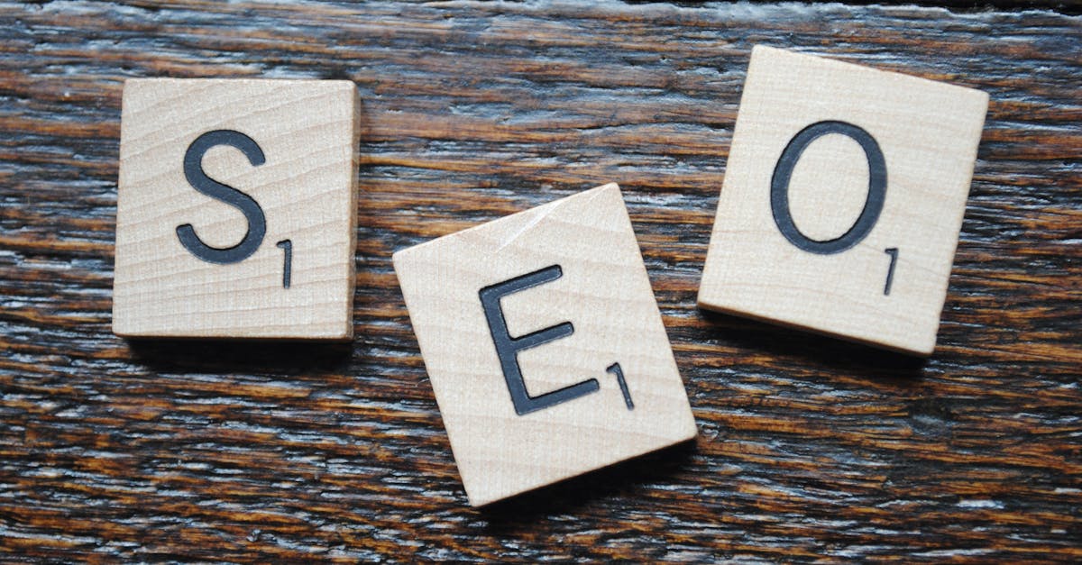 PlugnRank explicado: como o sistema operacional de SEO funciona