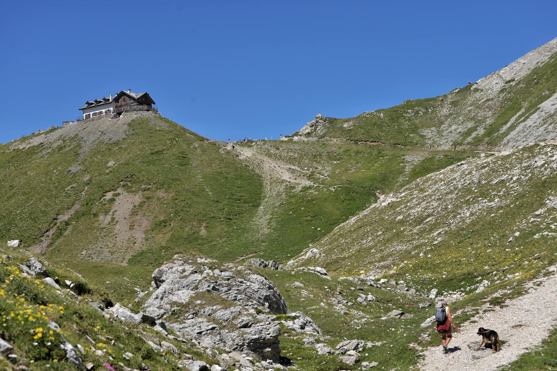 Hiker and dog on a scenic trail leading to Rifugio Passo Selle in Italy's Trentino-Alto Adige.